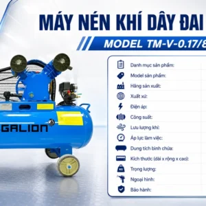 Thông số máy nén khí Pegalion 2HP 70L lưu lượng 170 L/phút