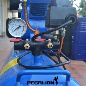 Đồng hồ áp suất và rơ-le máy nén khí Pegalion