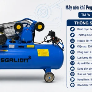 Thông số máy nén khí Pegalion 4HP 230L lưu lượng 360 L/phút
